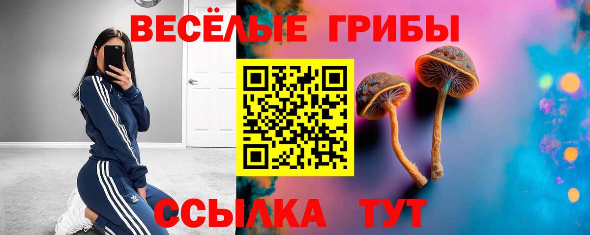 Галлюциногенные грибы Psilocybe Котельники