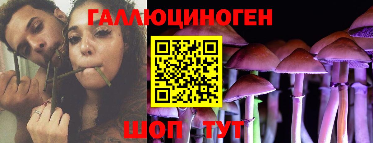 Псилоцибиновые грибы GOLDEN TEACHER  Вход с VPN  Котельники 